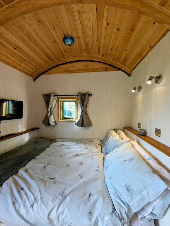 Romantic Nature Retreat, Luxury Glamping & Stargazing Views - Dragonfly Shepherd Hut Yarpole Luaran gambar